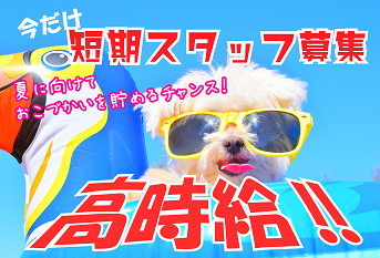【P】《埼玉県久喜市》　アマゾン久喜倉庫　短期スタッフ大募集！　勤務シフトが6パターンも！