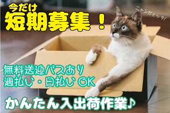 〈短期募集・長期も歓迎！/倉庫内軽作業〉車の部品のピッキングや梱包、シール貼り／愛西市内