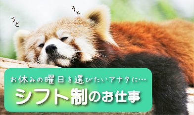 土曜日できる方歓迎‼週2日～コンタクトレンズのピッキング・検品作業・仕分け作業◎週払い可（規定あり）