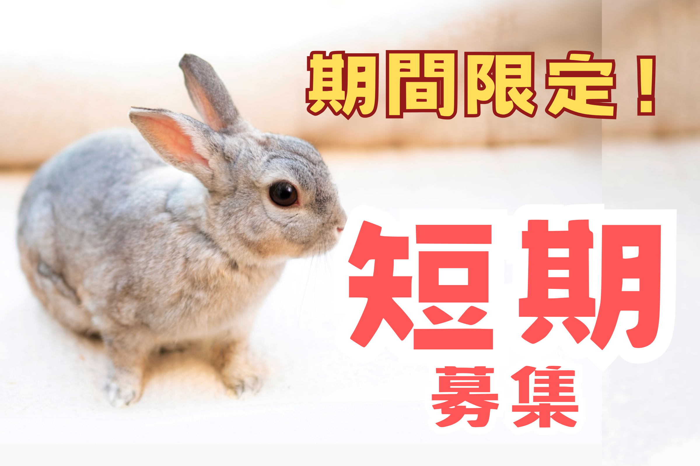 高時給！　夜勤短期スタッフ大募集！！　キレイなアマゾン倉庫でカンタン軽作業