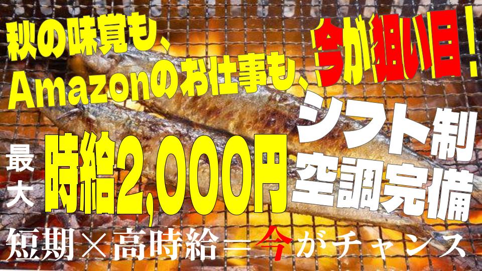 【夜型さん必見🌙】最高時給2,000円でしっかり収入GET♪21:00～翌6:00★昼間は自分時間♪Amazon上尾で簡単軽作業！週2日～OK◎